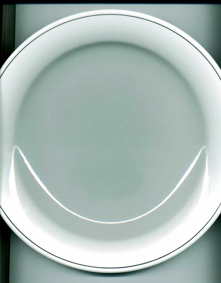 ARZ120 Dinner Plate by Arzberg-1