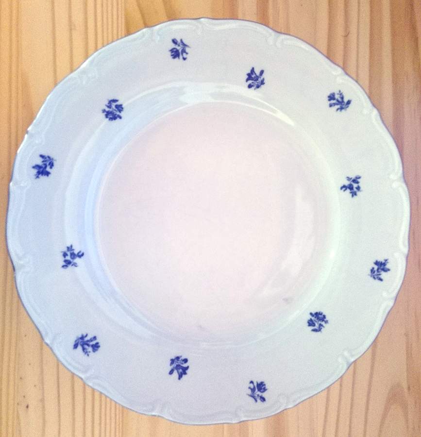 ALT349 Dinner Plate by Altrohlau-1