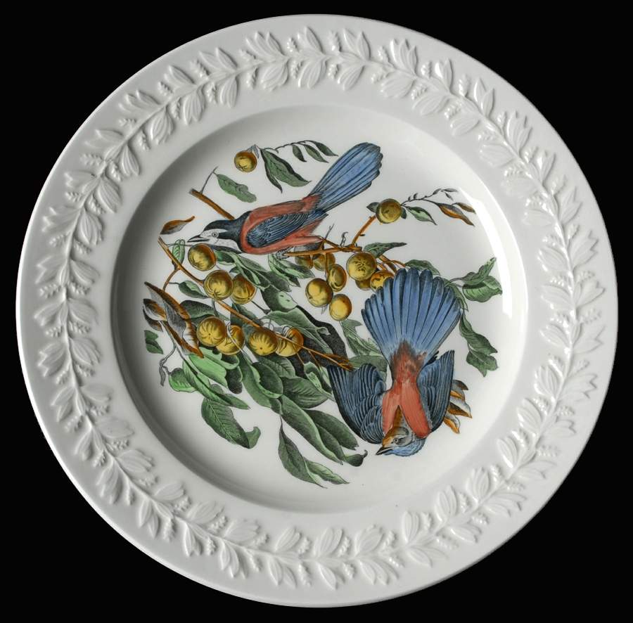 Birds of America Dinner Plate by Adams China-1