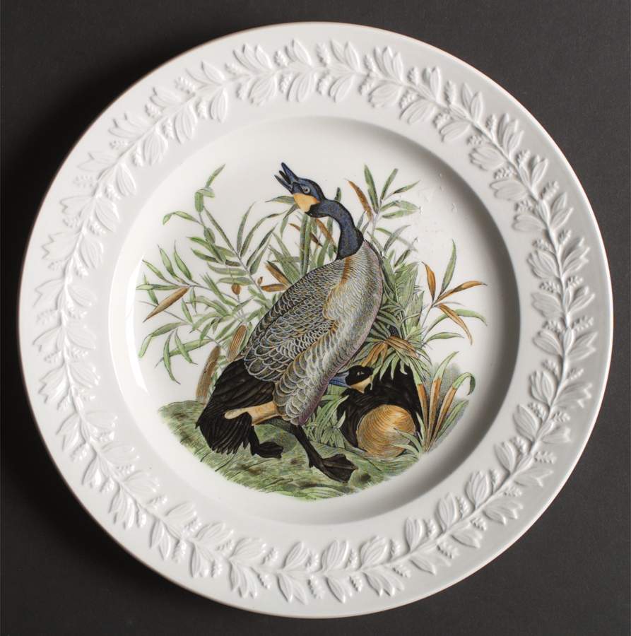 Birds of America Dinner Plate by Adams China-1