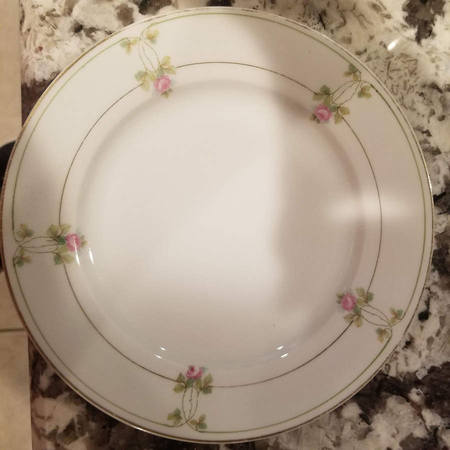 ALT350 Luncheon Plate by Altrohlau-1