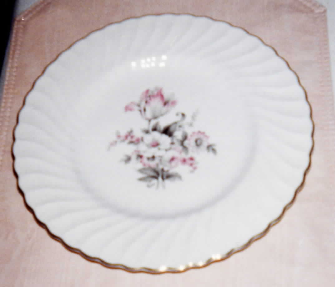 ABE36 Dinner Plate by Aberdeen-1