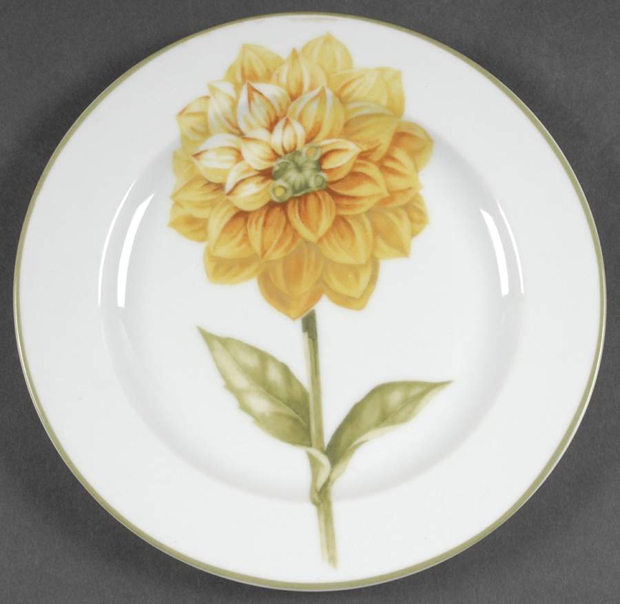 Bloom Salad Plate by 222 Fifth (PTS)-1