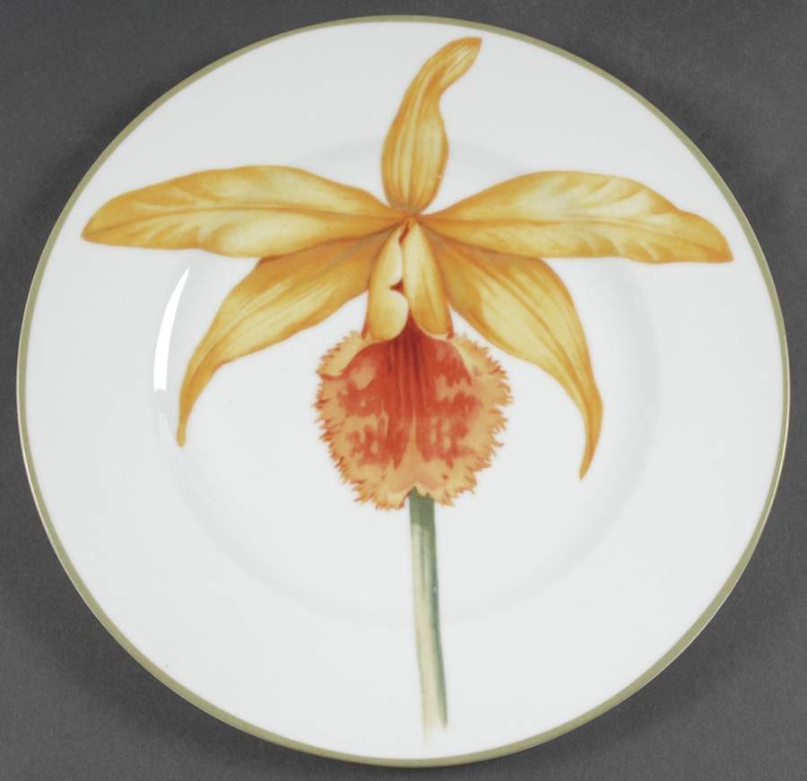 Bloom Dinner Plate by 222 Fifth (PTS)-1