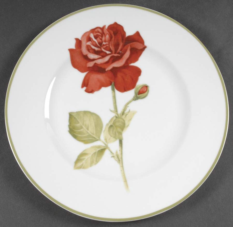 Bloom Dinner Plate by 222 Fifth (PTS)-1