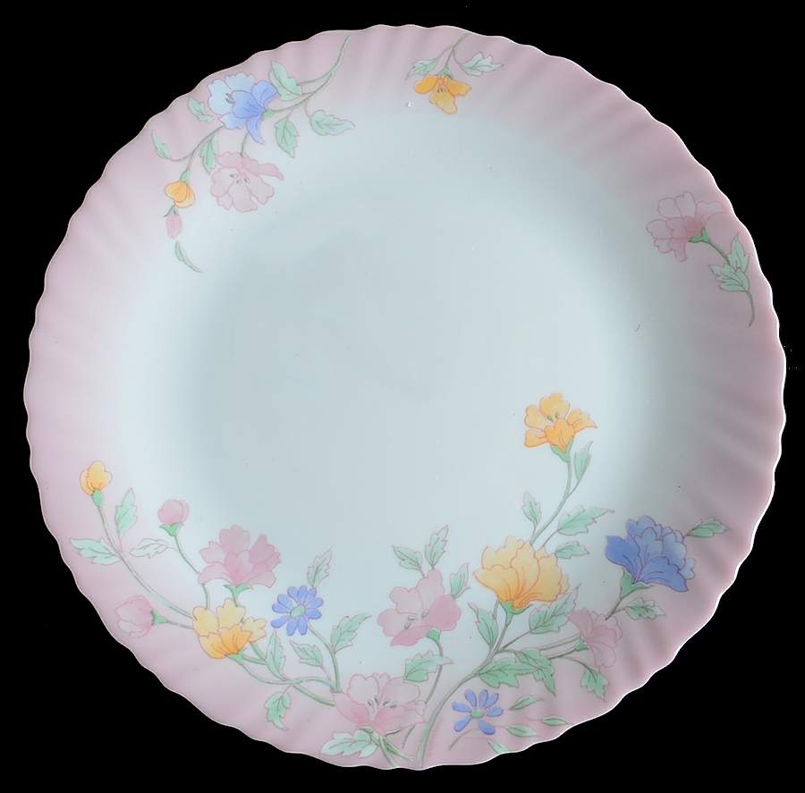 Elise Luncheon Plate by Arcopal-1
