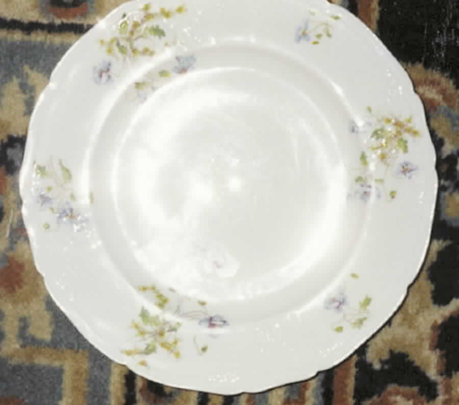 AHR546 Dinner Plate by Charles Ahrenfeldt-1