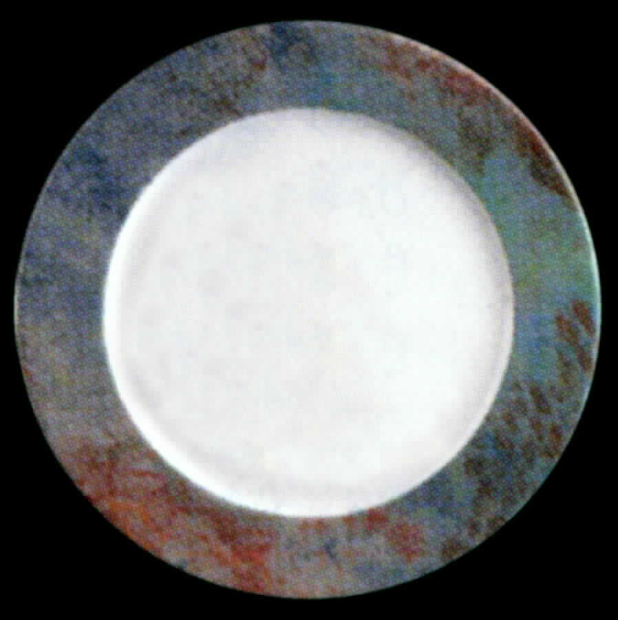 Euphoric Dinner Plate by Apilco-1
