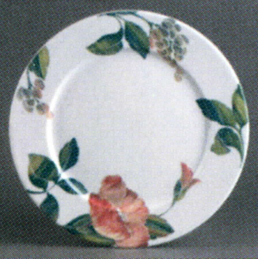 Melusine Dinner Plate by Apilco-1