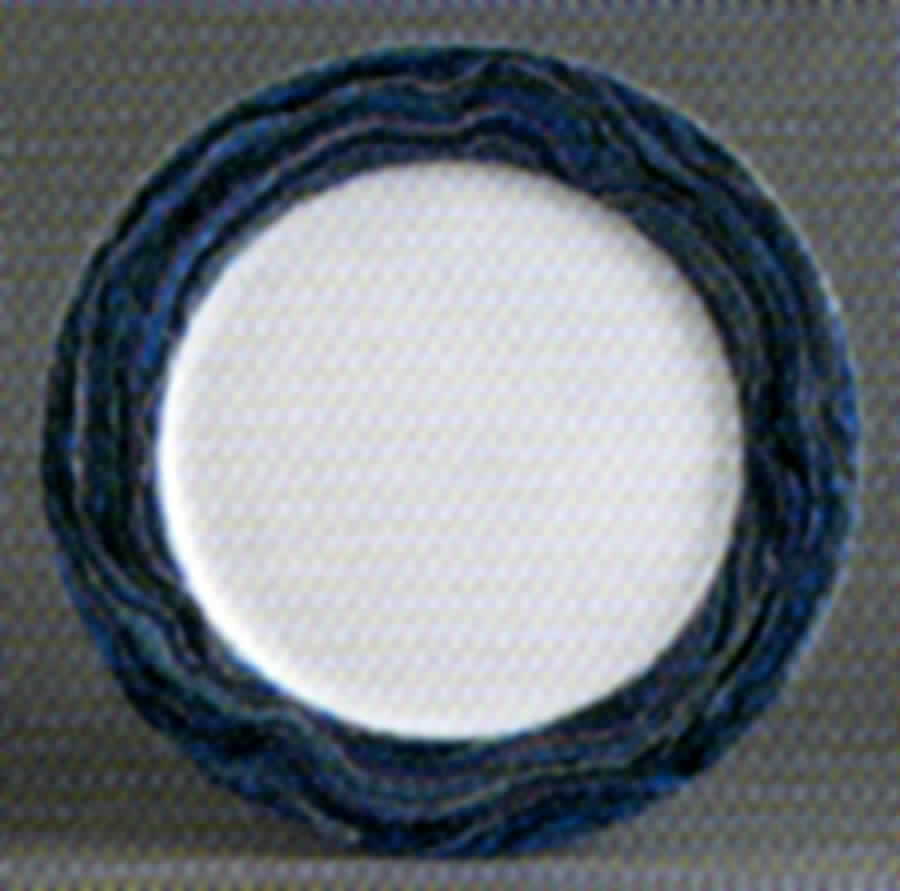 Oceanique Dinner Plate by Apilco-1