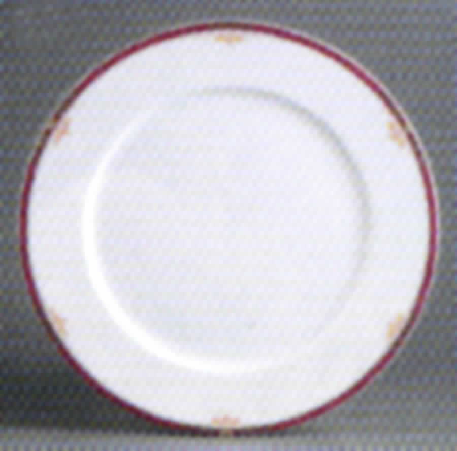 Odalisque Dinner Plate by Apilco-1