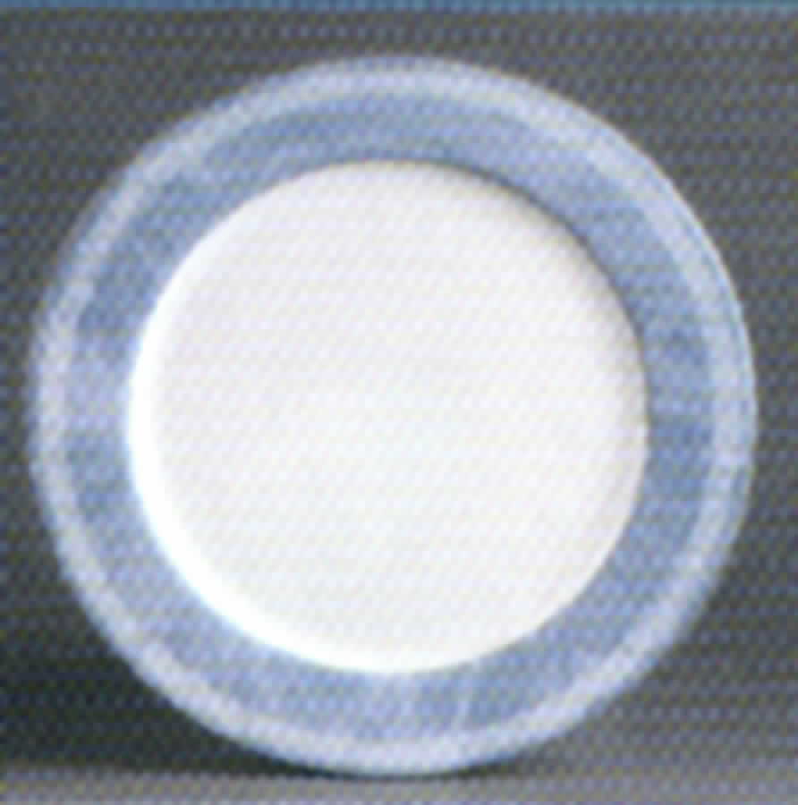 Olympe Gris Dinner Plate by Apilco-1