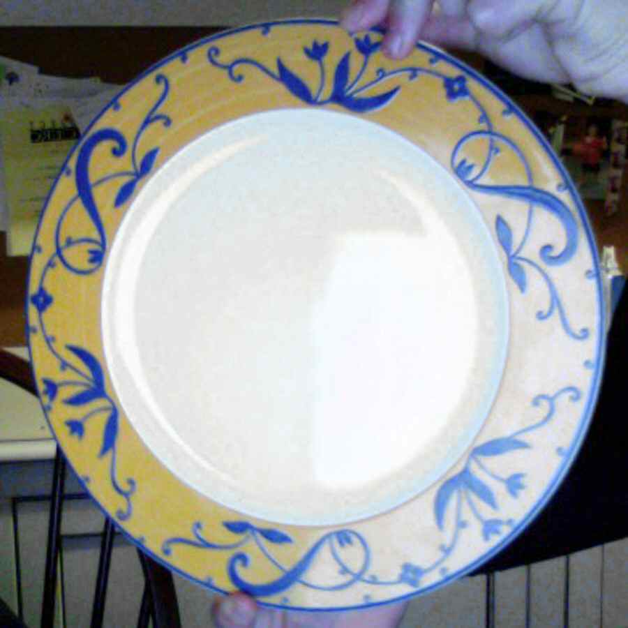 Sud Dinner Plate by Apilco-1