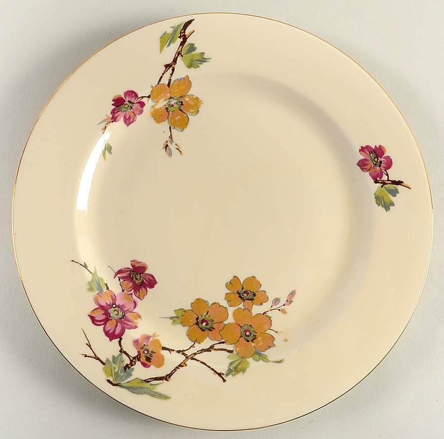 ACC8 Dinner Plate by Amc China-Germany-1