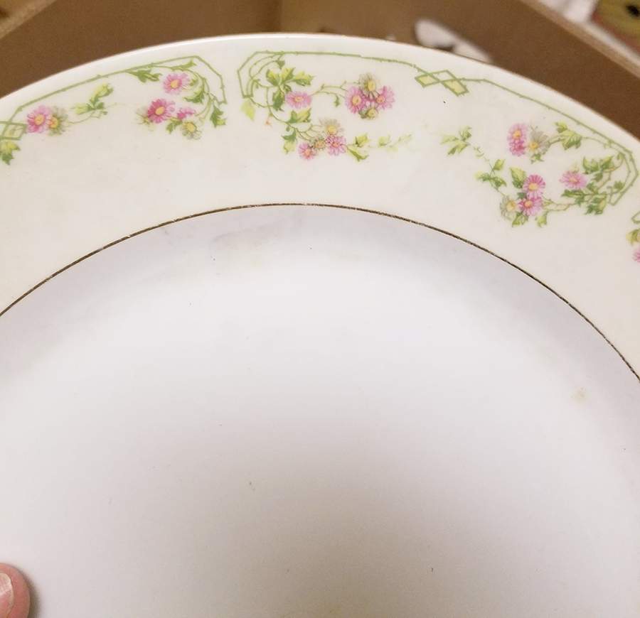 ALT360 Dinner Plate by Altrohlau-1