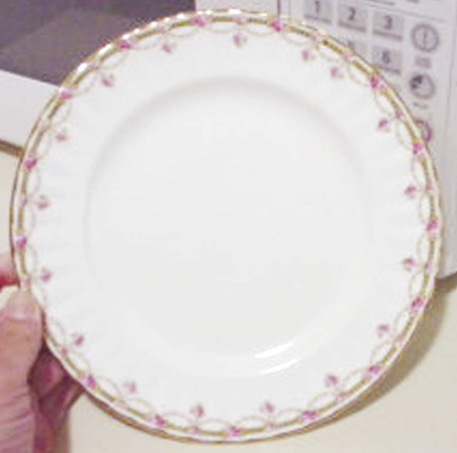 ANX3 Dinner Plate by Allyn Nelson-1
