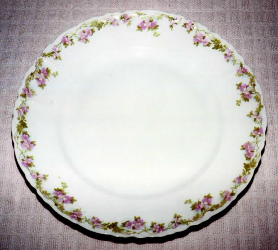 AUS307 Dinner Plate by Austria-1