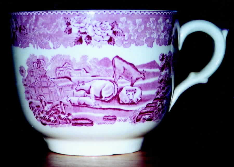 English Scenic Pink (Older, Smooth) Flat Cup by Adams China-1