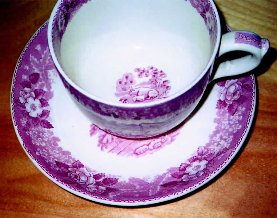 English Scenic Pink (Older, Smooth) Flat Cup & Saucer Set by Adams China-1
