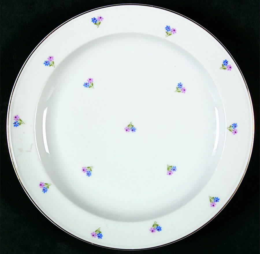 ARZ125 Dinner Plate by Arzberg-1