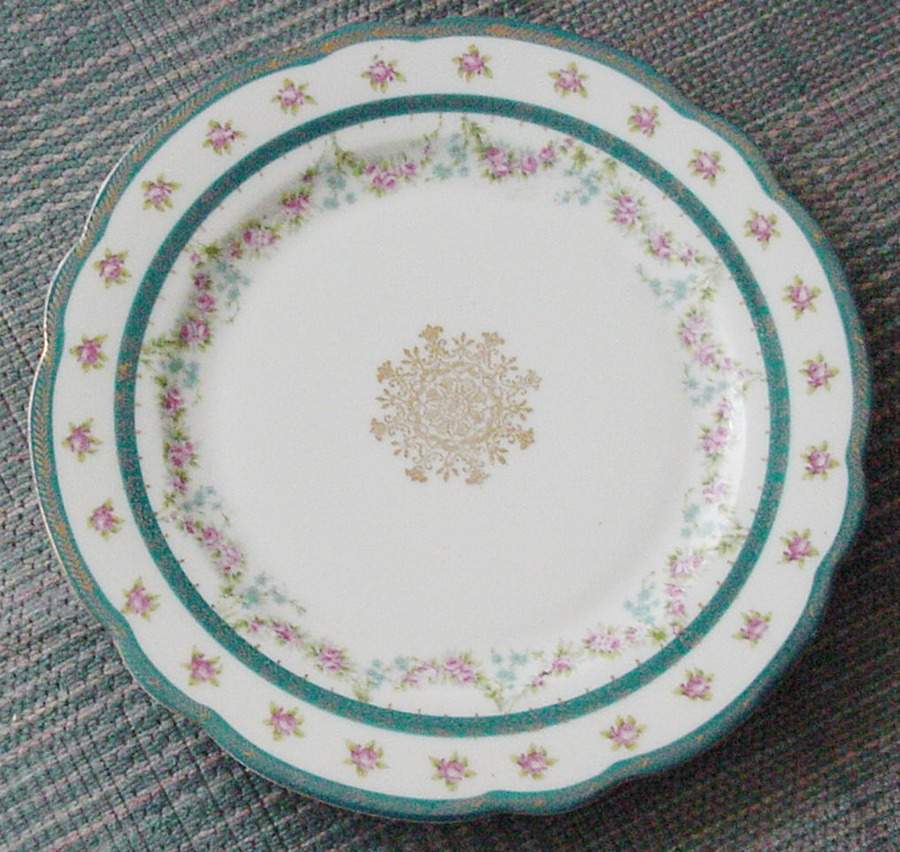 AUS311 Dinner Plate by Austria-1
