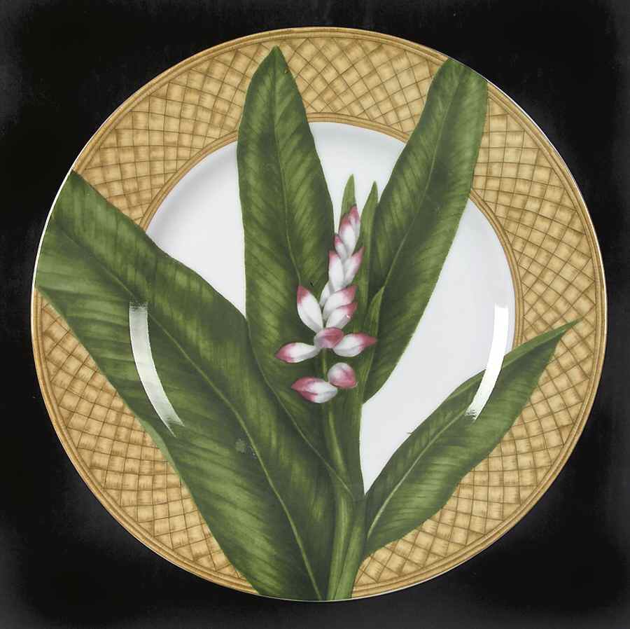 Rainforest Dinner Plate by 222 Fifth (PTS)-1