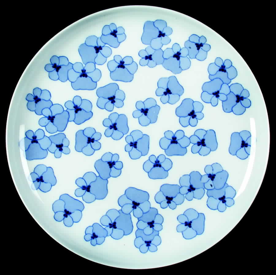ARZ129 Dinner Plate by Arzberg-1