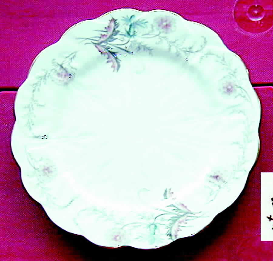 Wayside (Crocus) Salad Plate by John  Aynsley & Sons-1