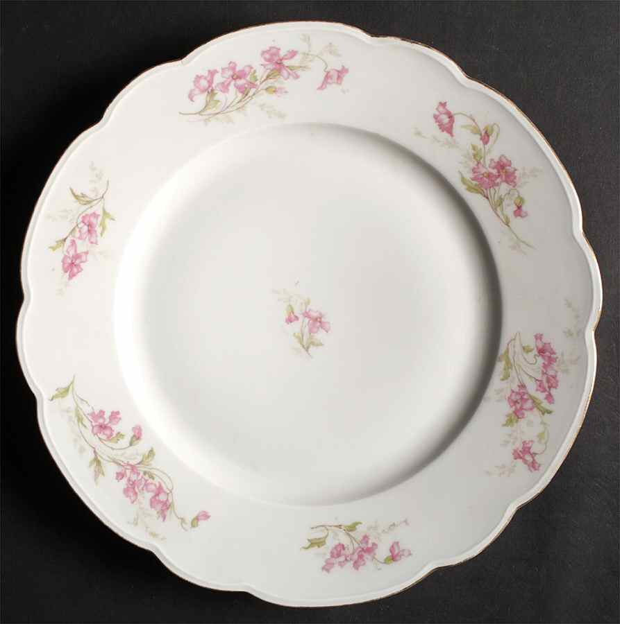 ALT374 Dinner Plate by Altrohlau-1
