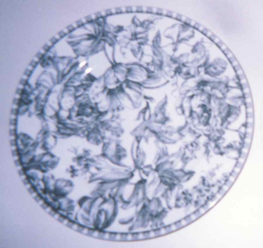 Toile Blue Dinner Plate by 222 Fifth (PTS)-1