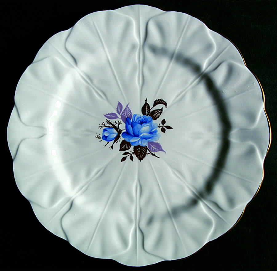 AYN119 Salad Plate by John  Aynsley & Sons-1