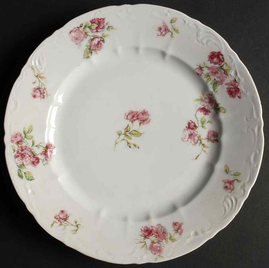 AUS315 Dinner Plate by Austria-1