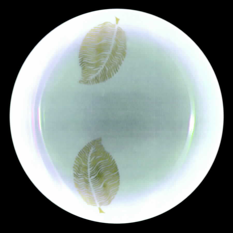 ARZ134 Bread & Butter Plate by Arzberg-1