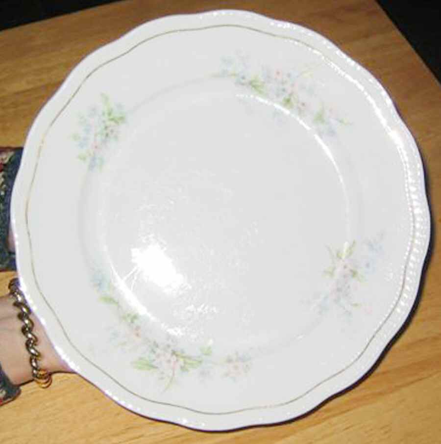ADH17 Dinner Plate by Adolf Persch-1