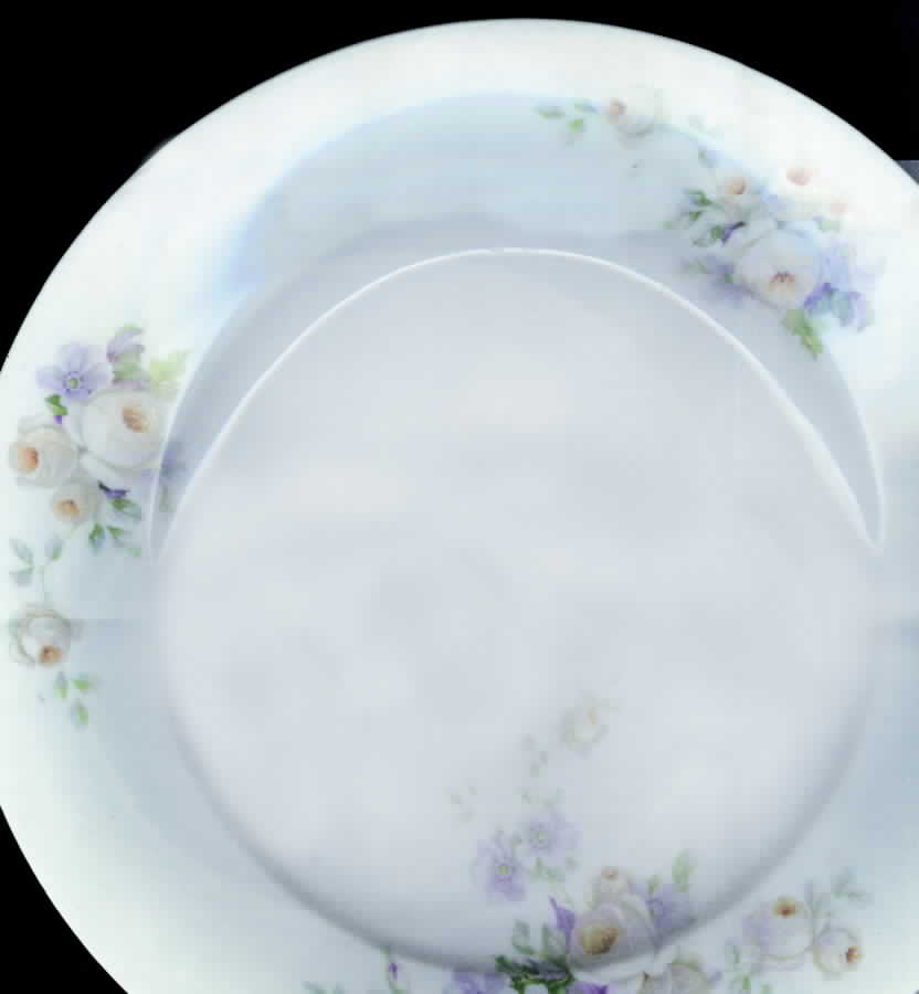 Alt389 Dinner Plate by Altrohlau-1