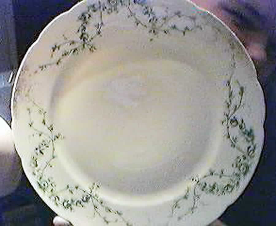 Alt391 Dinner Plate by Altrohlau-1