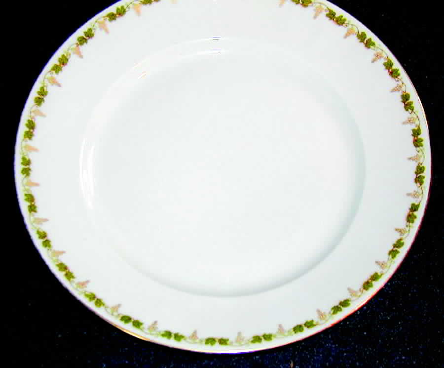 Alt397 Dinner Plate by Altrohlau-1