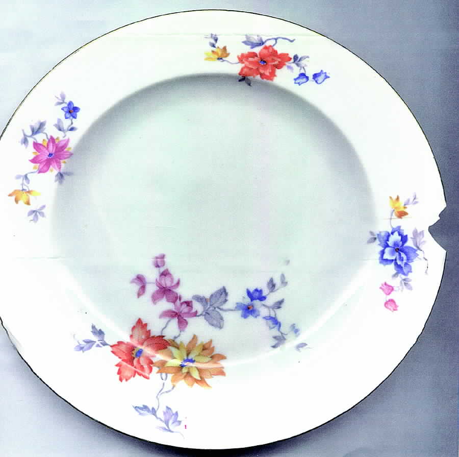 ALT401 Dinner Plate by Altrohlau-1