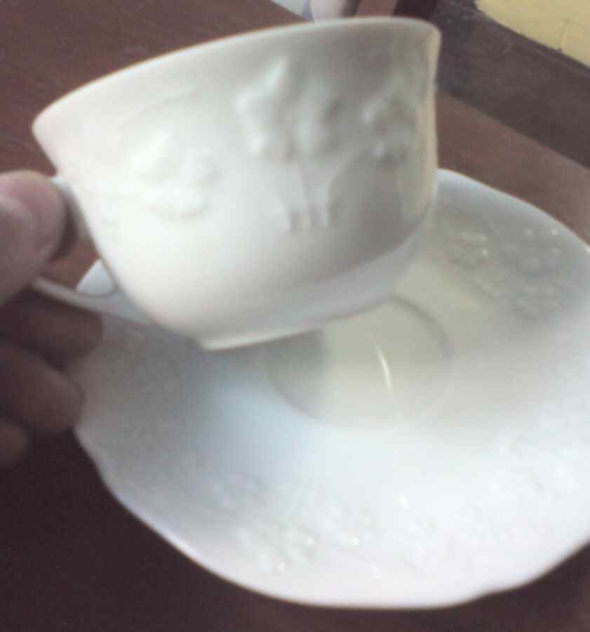 Primevere Flat Cup & Saucer Set by Apilco-1