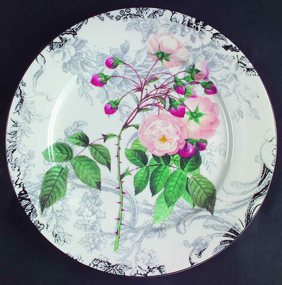 Rose Toile Accent Dinner Plate by American Atelier-1