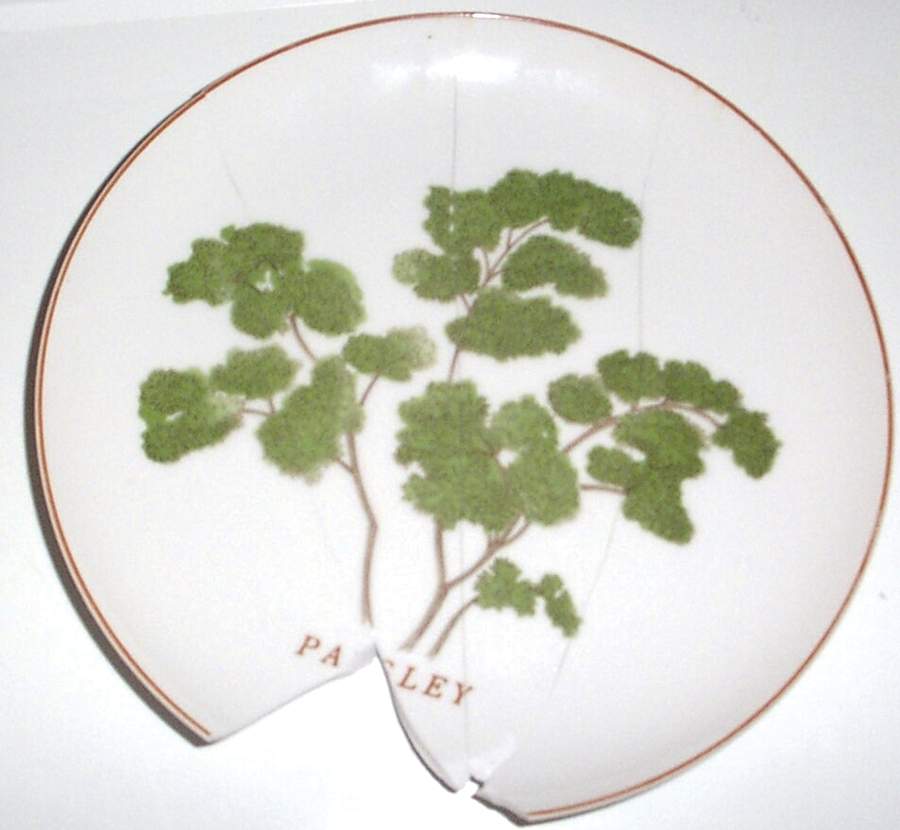 ADG1 Dinner Plate by ADG Delphine-1
