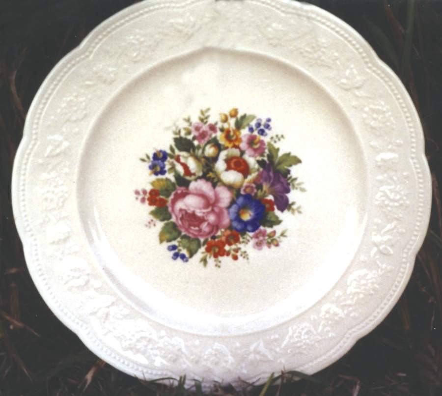ACW7 Dinner Plate by American Chinaware-1