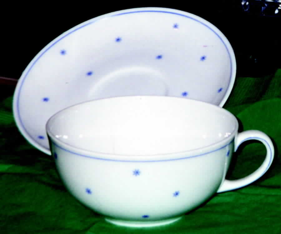 ARZ140 Flat Cup & Saucer Set by Arzberg-1