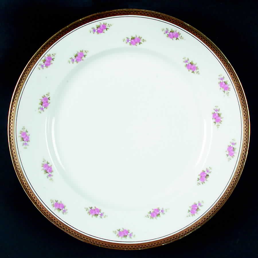 ALT408 Dinner Plate by Altrohlau-1