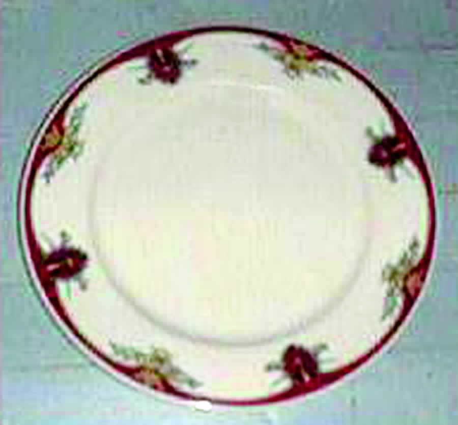 AKP5 Dinner Plate by Albert Pick Co-1