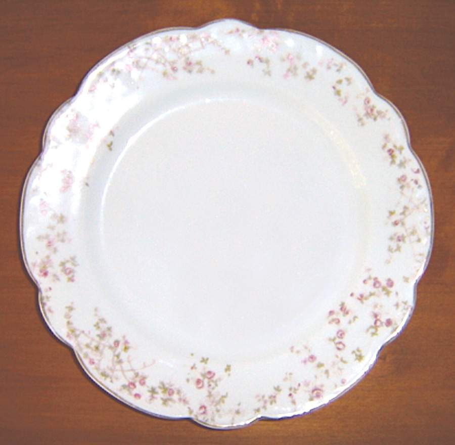 AUS332 Dinner Plate by Austria-1