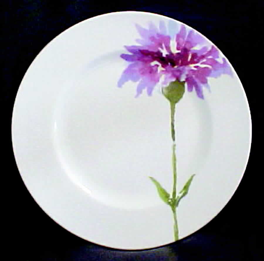Lucille Dinner Plate by 222 Fifth (PTS)-1
