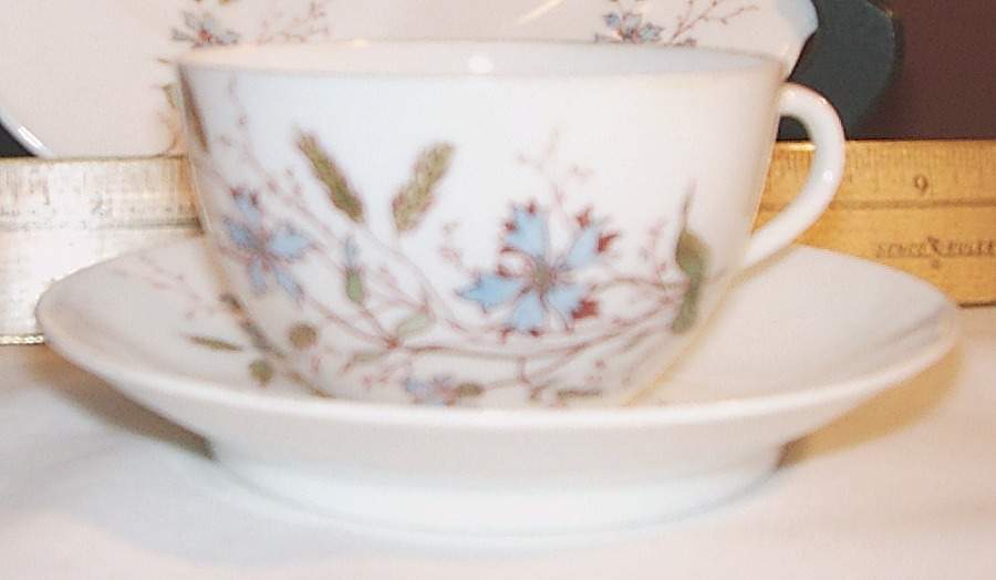 5493 Flat Cup & Saucer Set by Austria-1