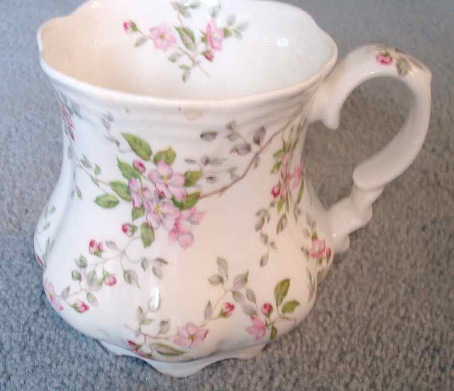 ANX5 Mug by Allyn Nelson-1