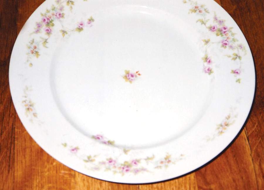 ALT415 Dinner Plate by Altrohlau-1